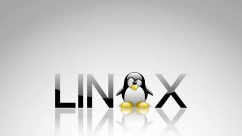 Windows&Linux开启Mysql慢查询日志记录的方法-智诚云集