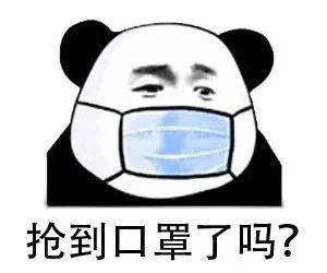 淘宝企业店铺网购口罩记录口罩&口照傻傻分不清楚-智诚云集