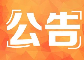 [公告]网站前端界面出现问题, 正在处理.....