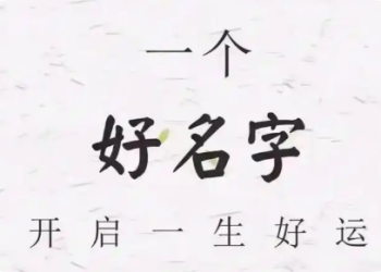 全网最忙五人组”张吉惟、林国瑞、林玟书、林雅南、江奕云”