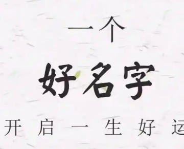 全网最忙五人组”张吉惟、林国瑞、林玟书、林雅南、江奕云”